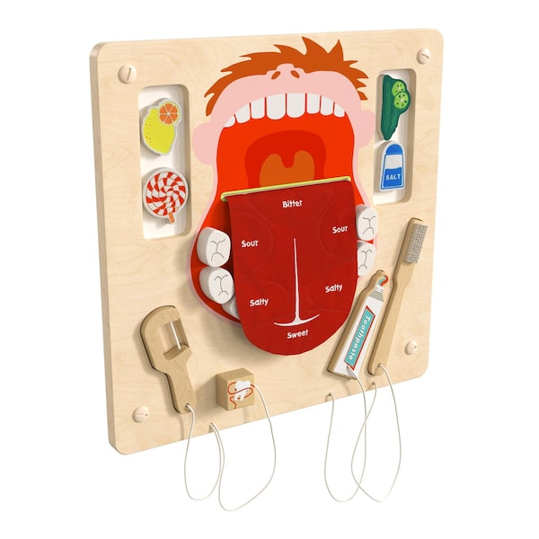 Flash Furniture Bright Beginnings Commercial Grade STEAM Wall Activity Board with Natural Finish and Multicolor Accents, Dental Hygiene MK-ME10346-GG - main